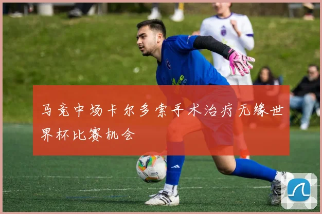 马竞中场卡尔多索手术治疗无缘世界杯比赛机会