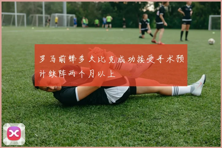 罗马前锋多夫比克成功接受手术预计缺阵两个月以上